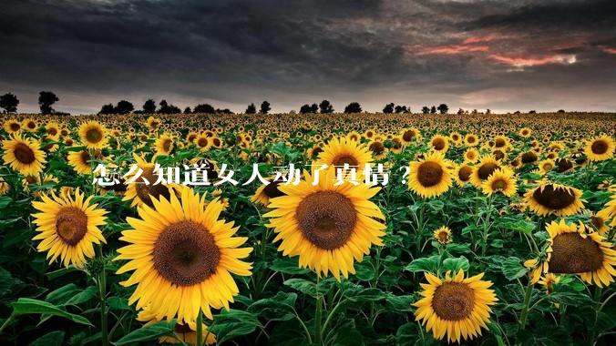 怎么知道女人动了真情?