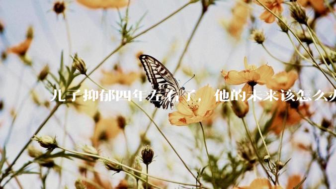 儿子抑郁四年左右了，他的未来该怎么办？