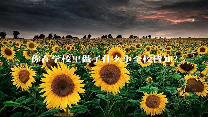 你在学校里做了什么事全校皆知？
