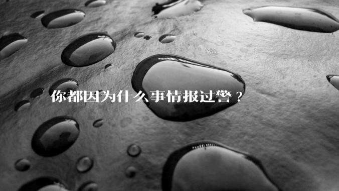 你都因为什么事情报过警?