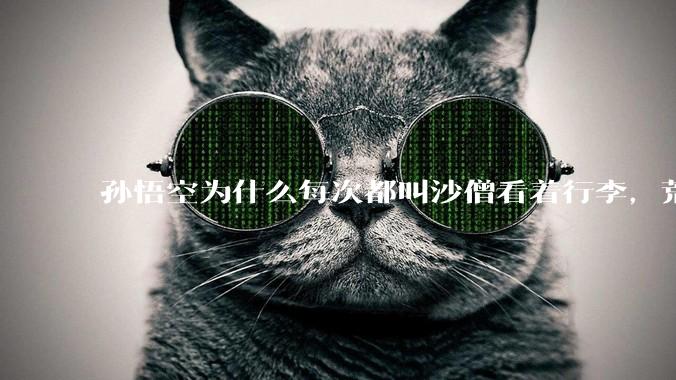 孙悟空为什么每次都叫沙僧看着行李，荒山野岭的还怕有人来偷吗？